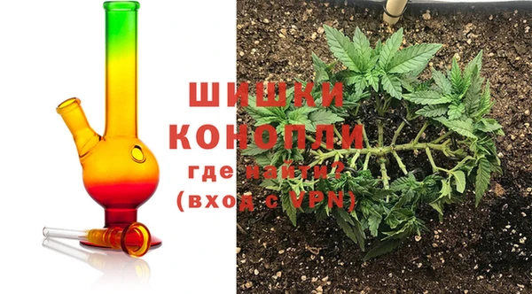 PSILOCYBIN Балабаново