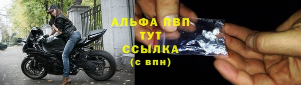 PSILOCYBIN Балабаново