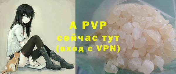PSILOCYBIN Балабаново