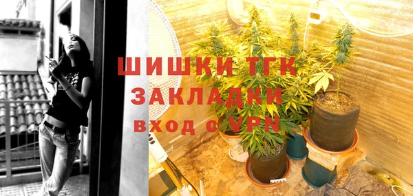молекула духа Балахна