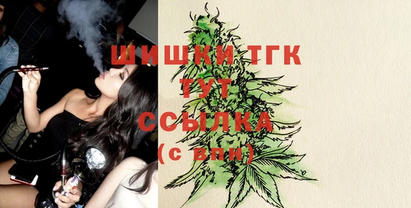 PSILOCYBIN Балабаново