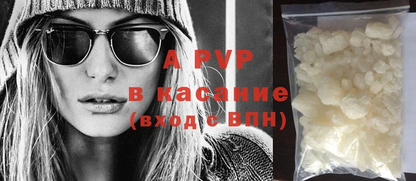 PSILOCYBIN Балабаново